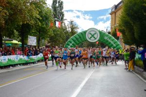 Laufgruppe 2014