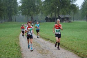 Laufgruppe 2014