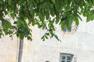 Festversammlung 40-Jahre SC Neugries