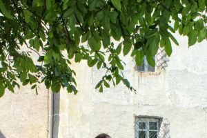 Festversammlung 40-Jahre SC Neugries