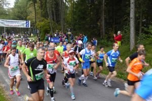 Laufgruppe 2014