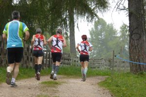 Laufgruppe 2014