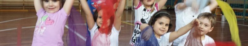 Sektion Fitness