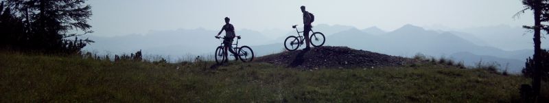 Sektion Rad