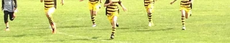 Sektion Fußball